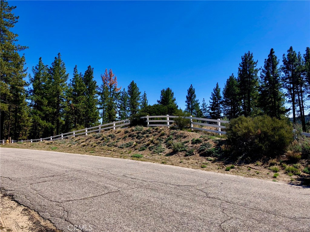 Thomas Mountain (32610) - Land