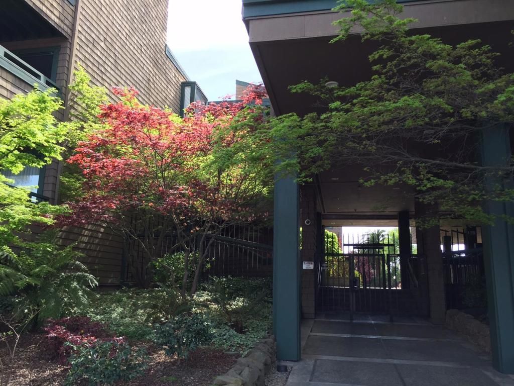 listing image 130720138763707098796