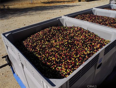 Tiny photo for 6320 Von Dollen Road, San Miguel, CA 93451 (MLS # NS25106354)