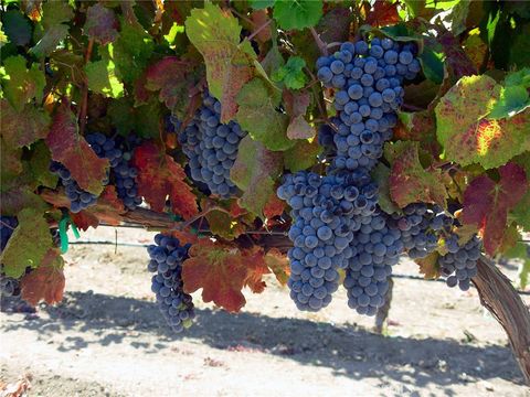 Tiny photo for 6320 Von Dollen Road, San Miguel, CA 93451 (MLS # NS25106354)