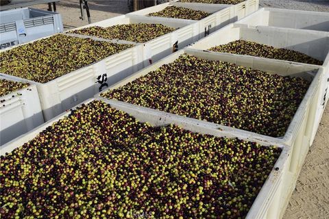 Tiny photo for 6320 Von Dollen Road, San Miguel, CA 93451 (MLS # NS25106354)