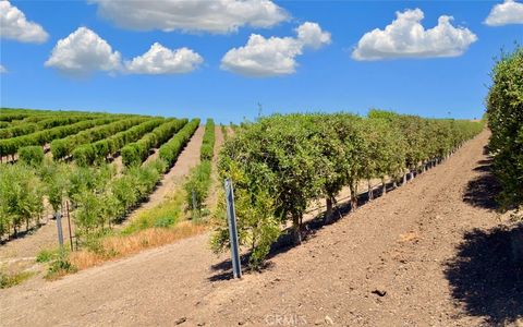 Tiny photo for 6320 Von Dollen Road, San Miguel, CA 93451 (MLS # NS25106354)