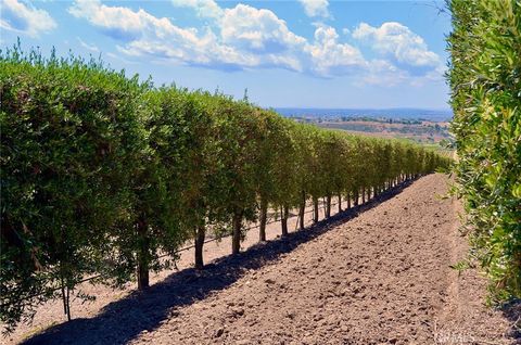 Tiny photo for 6320 Von Dollen Road, San Miguel, CA 93451 (MLS # NS25106354)