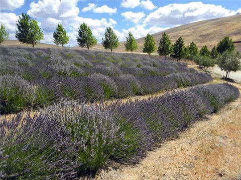 Tiny photo for 6320 Von Dollen Road, San Miguel, CA 93451 (MLS # NS25106354)