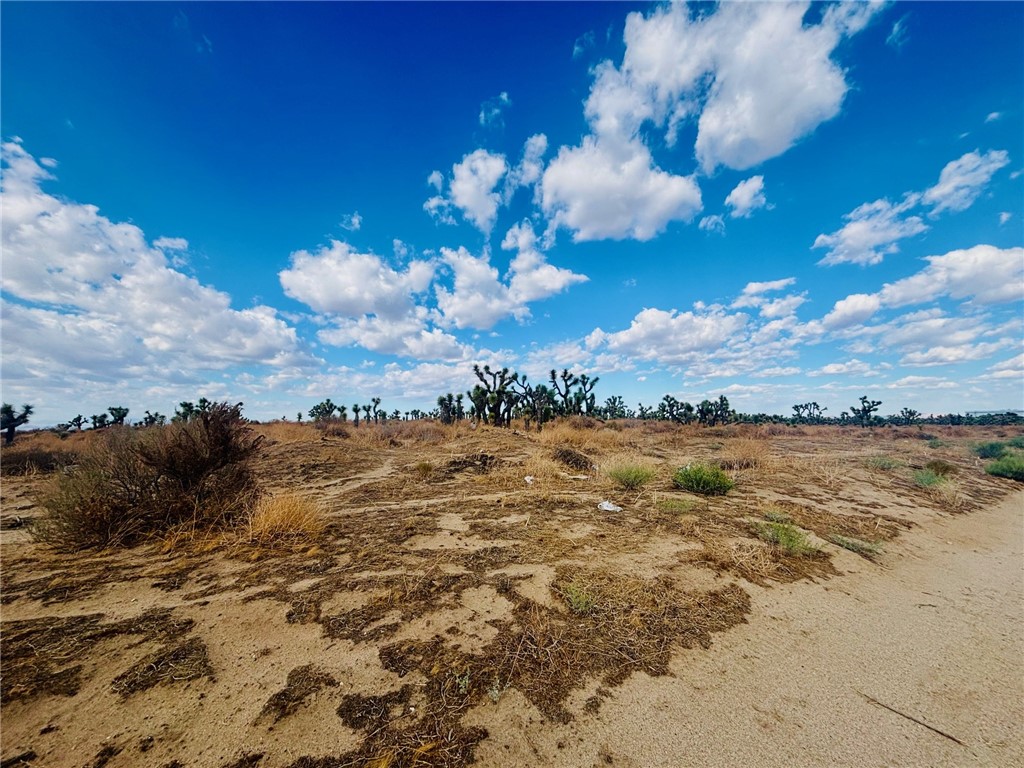 Huge Investment Opportunity in Prime Palmdale Location. Land is located directly Northwest of Plant 42 and surrounded by housing and commercial properties. 1.29 acres. Flat, useable land zoned Industrial (PDM4). Land is between Ave N / Ave M / Sierra Hwy / 10th St. West. Priced at $78,900.
