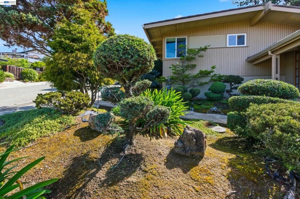 Photo of 18602 Center St St, Castro Valley, CA 94546 (MLS # 41128149)