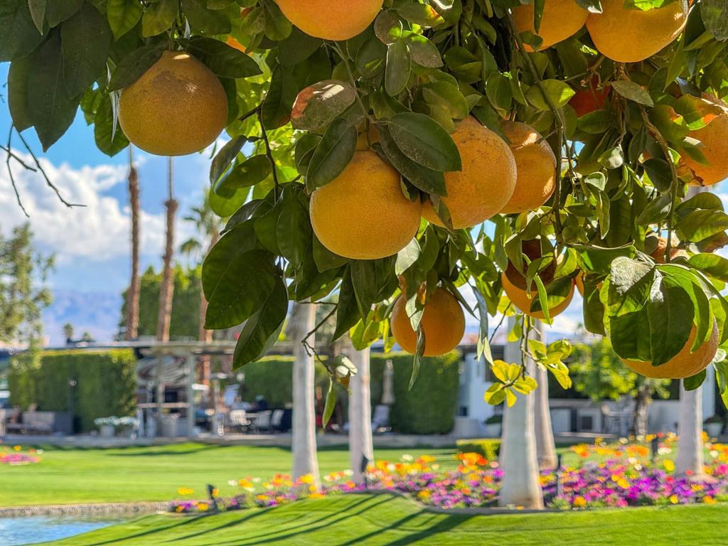 Outdoor Resorts CC - Residential