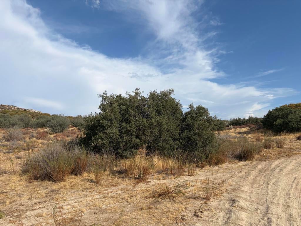 0 Kgkj Ranch Road