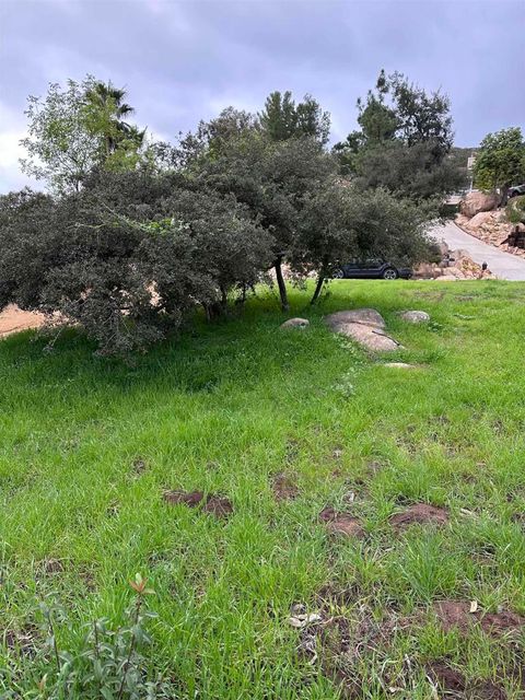 Photo of 0 Daza Dr, Ramona, CA 92065 (MLS # 260001957SD)