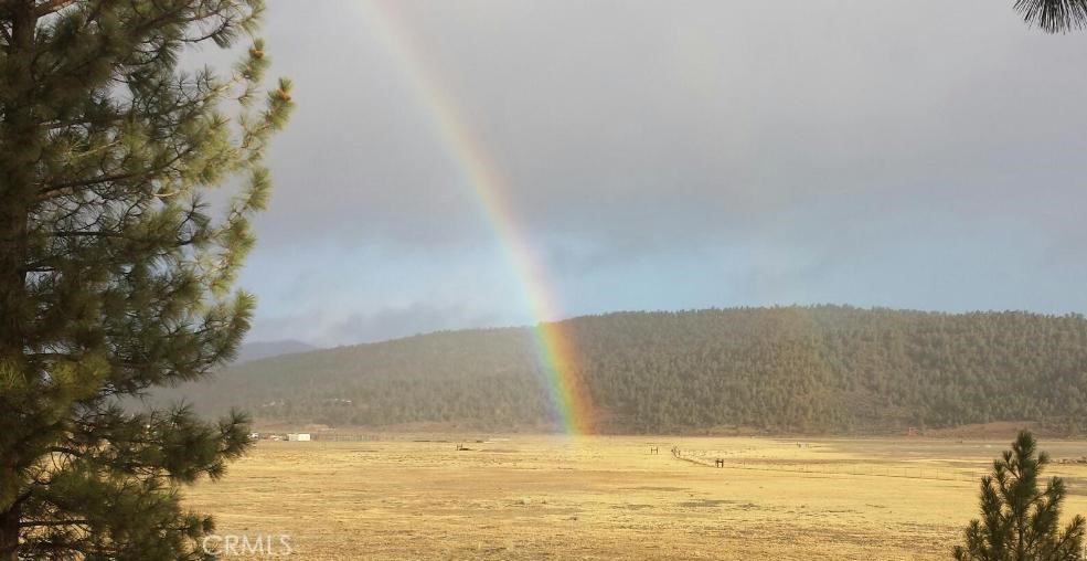 Located in Hamilton Ranch Equestrian Estates in Big Bear Community. Adjoins USFS with mile after mile of trails to enjoy on horse, bike or on foot. Just East of Big Bear Lake, 15 minute drive to shopping, fishing, boating and water skiing on Big Bear Lake. Big Bear Mountain Ski Resorts also a quick 15 minute drive which includes winter play activities skiing, snow boarding and tubing. Summer activities include mountain biking and hiking. Parcel is 6+ Acres with pasture and views of the seasonal Lake Erwin. Incredible view with pines, juniper and native flora. A well will be required for water.