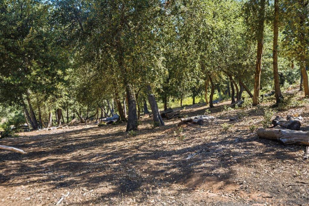 0 Toyan Mountain Lane