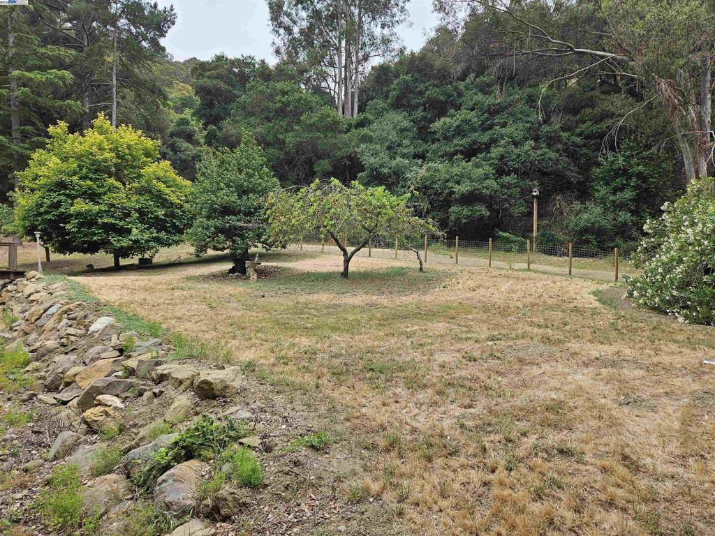 PALOMARES CANYON - Residential