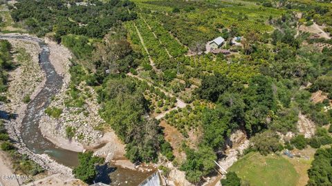 5682 Pine Grove Road Santa Paula CA 93060