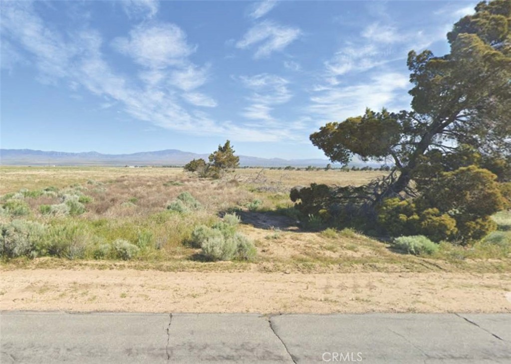 8.12 acres of level land just east of Lancaster Rd and 190th Stw. Both Lancaster and 190th Stw are paved roads with overhead power. 8.13 acres directly to the west is also for sale. Beautiful west Antelope Valley views. Easy access from both the 14 fwy at Palmdale or the 5 freeway just south of Gorman. Just west of the California Poppy Preserve. Rare opportunity to own so much flat land in such a beautiful setting. Great for recreational uses, RV's ATV's weekend camping today, and develop tomorrow. Possible future alternative energy (wind, solar) uses.