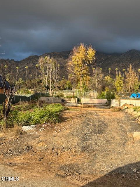 411 E Marigold Street