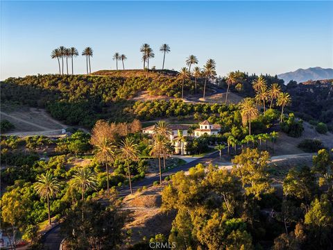 Photo of 31062 Casa Grande Dr, San Juan Capistrano, CA 92675 (MLS # NP25252419)