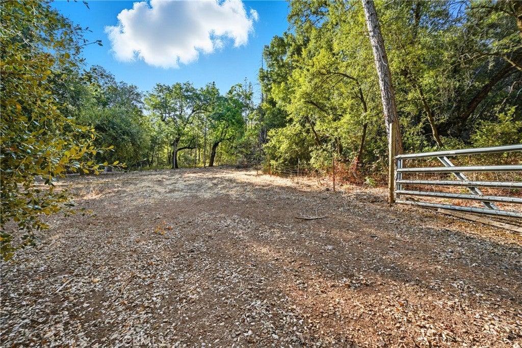 13028 Riata Road