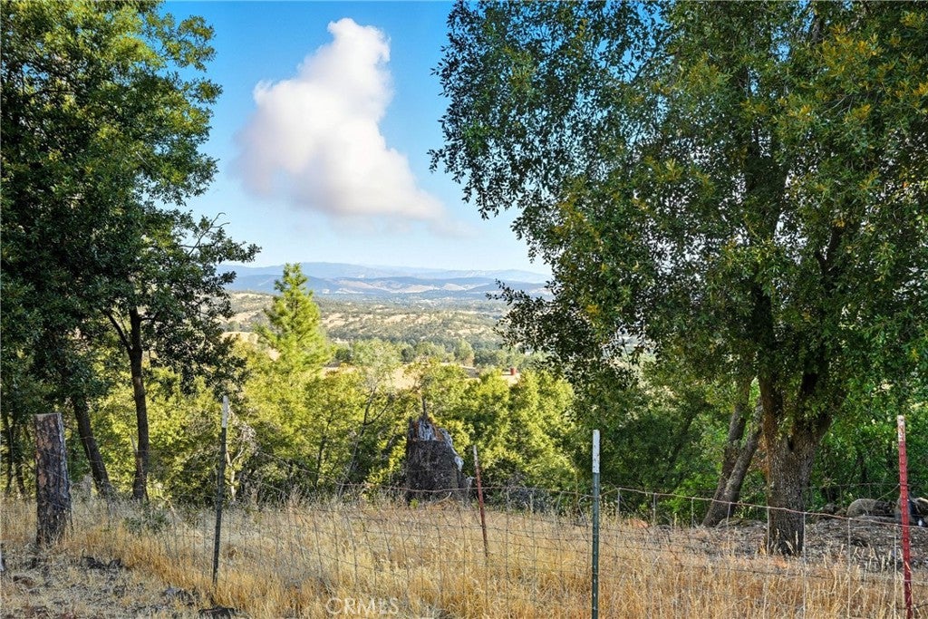 13028 Riata Road