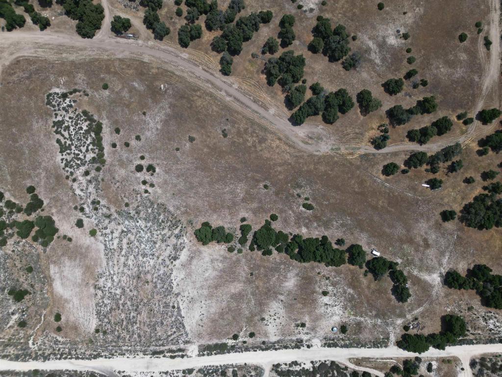 Avenida De Robles Verdes