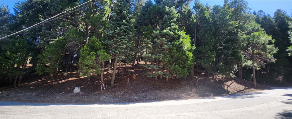 Discover this exceptional vacant land opportunity in Arrowhead Highlands, perfectly positioned for those seeking a peaceful retreat with outdoor access. This corner lot property features dual access and backs directly to the national forest, providing immediate access to outdoor recreation while maintaining a serene, private setting. The dual entry points offer flexibility for your building plans, while the corner lot positioning provides excellent visibility and development options. With the national forest as your backyard, you'll enjoy lasting protection of your views and the tranquility that makes Arrowhead Highlands such a desirable destination. An ideal opportunity to build your dream home or investment property in one of the area's most sought-after settings. Close to Lake Gregory, downtown Crestline, and Hwy 18!