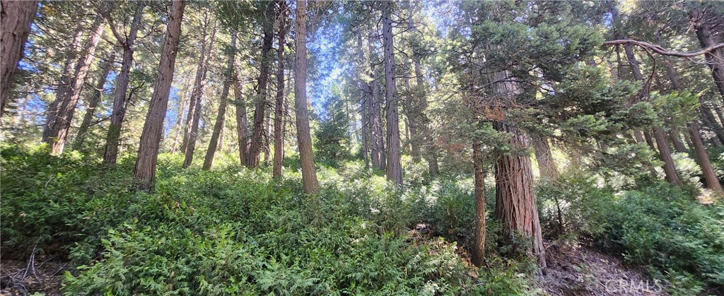 Crestline (CRES) - Land