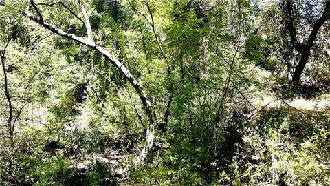 19 Hombre Murrieta CA 92562