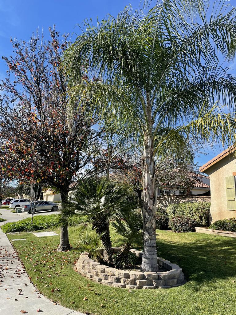 3690 Sorksbill Drive S