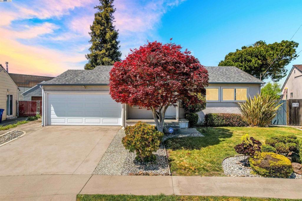 Welcome to your next dream home in the heart of Hayward’s sought-after Schafer Park neighborhood! Situated on an impressive 8,000+ square foot lot, this beautifully updated single-story home offers endless potential and room to grow—including possible ADU expansion (buyer to verify). Step inside to discover a thoughtfully designed floor plan featuring three spacious bedrooms and two modernized bathrooms, ideal for comfortable living. The updated kitchen boasts sleek countertops, stylish cabinetry, and plenty of space to cook and entertain. Adjacent is a large family room perfect for movie nights, game days, or simply relaxing with loved ones. Freshly painted interiors bring a bright and inviting feel, while the beautifully landscaped front and backyard create a serene outdoor escape. Whether you’re hosting weekend BBQs, gardening, or planning your future expansion, this lot offers the space and versatility you’ve been looking for. The attached two-car garage provides convenience and additional storage. Nestled in a well-established, pride-of-ownership neighborhood, this home is close to schools, shopping, dining, parks, and commuter access. Don’t miss this rare opportunity to own a charming, move-in ready home with extra space, character, and tons of upside in Hayward!