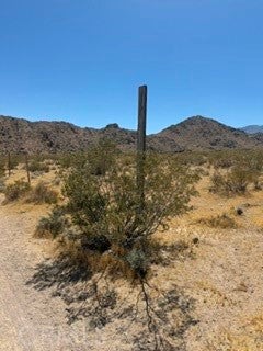 Photo of 0 Mountain View, Lucerne Valley, CA 92356 (MLS # HD26100996)