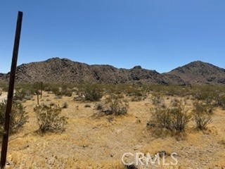 0 Mountain View