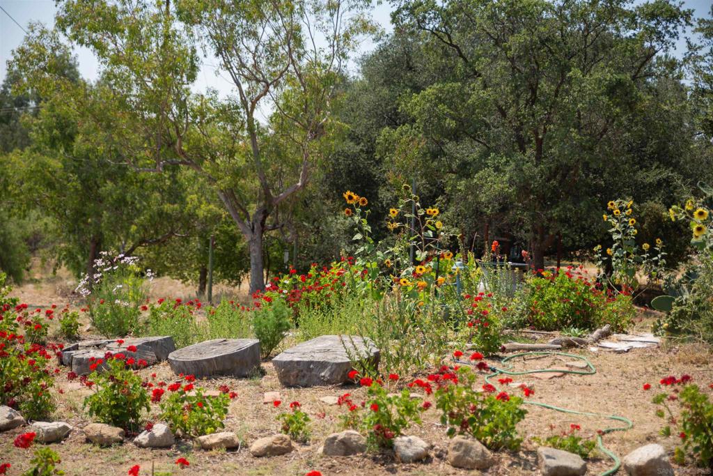 Pauma Valley - Residential