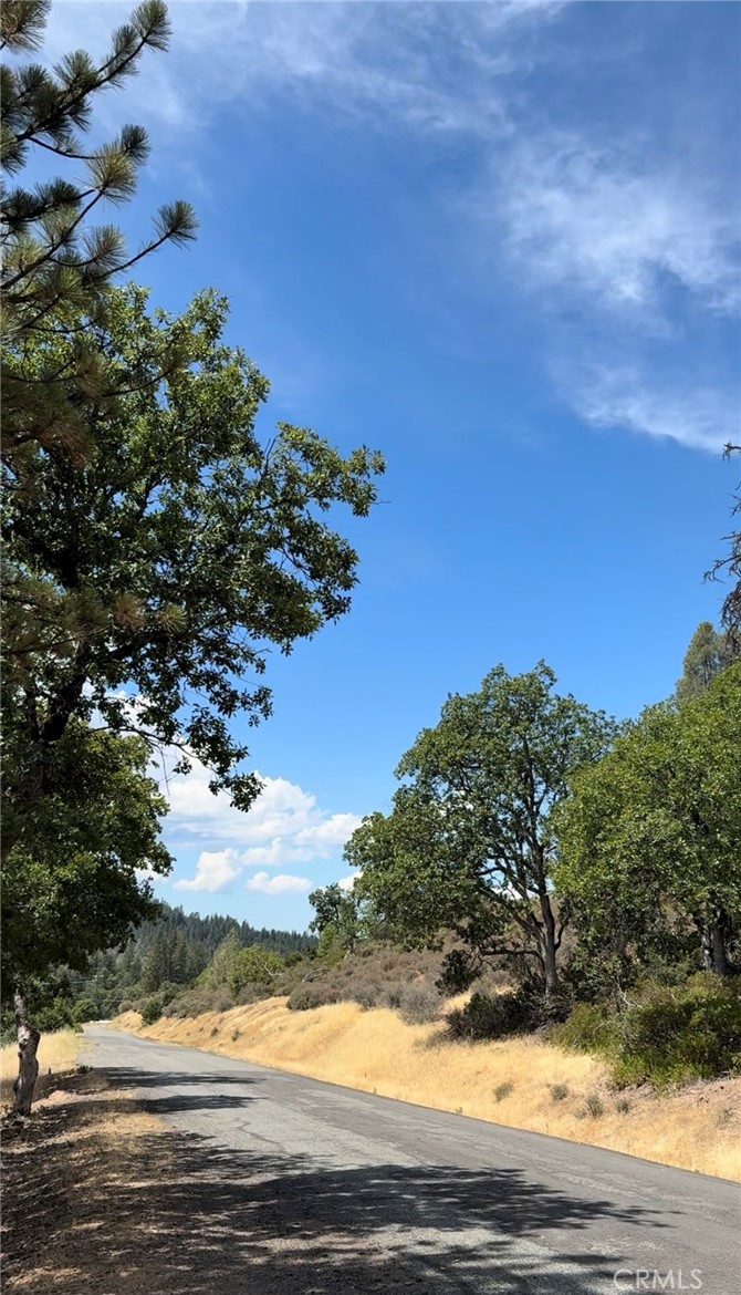 1651 Summit Creek Road