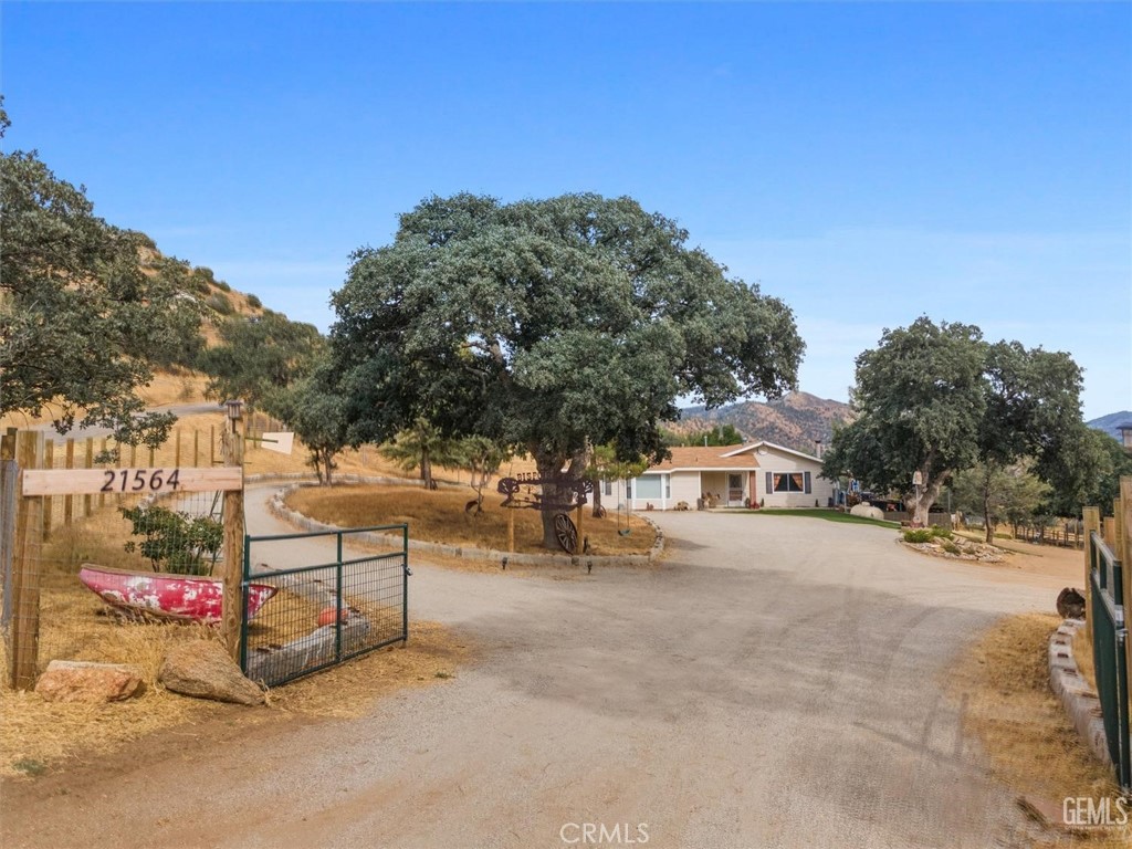 21564 Pine Tree Road