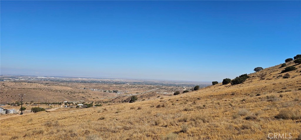 Custom Acton (CACTO) - Land