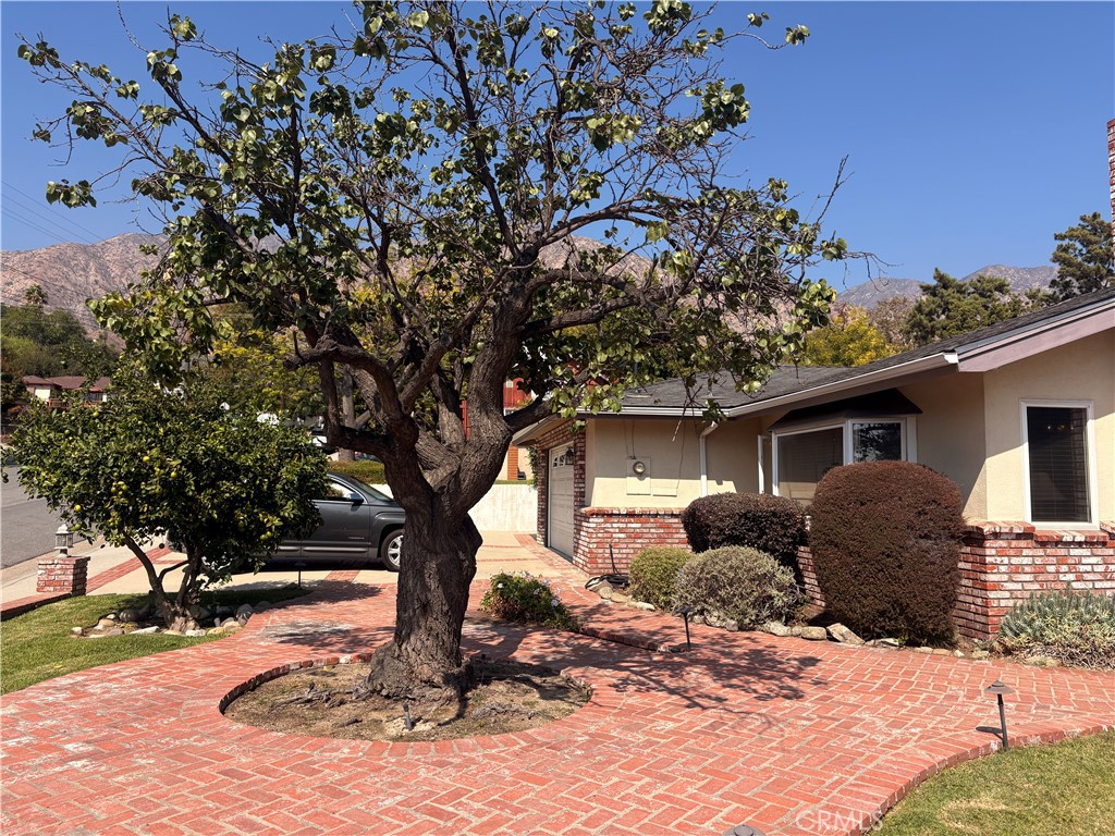 95 W. Laurel Avenue
