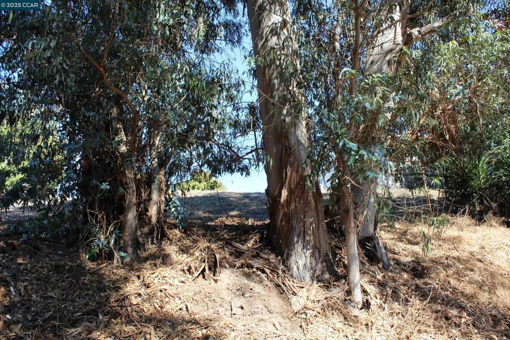 EL SOBRANTE - Land