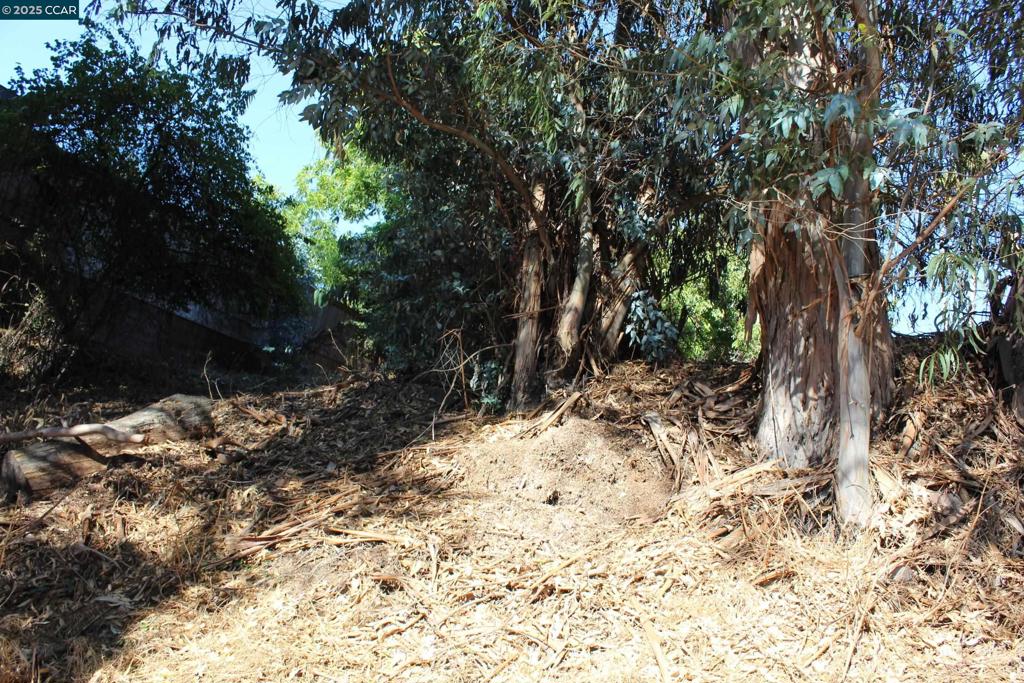 EL SOBRANTE - Land