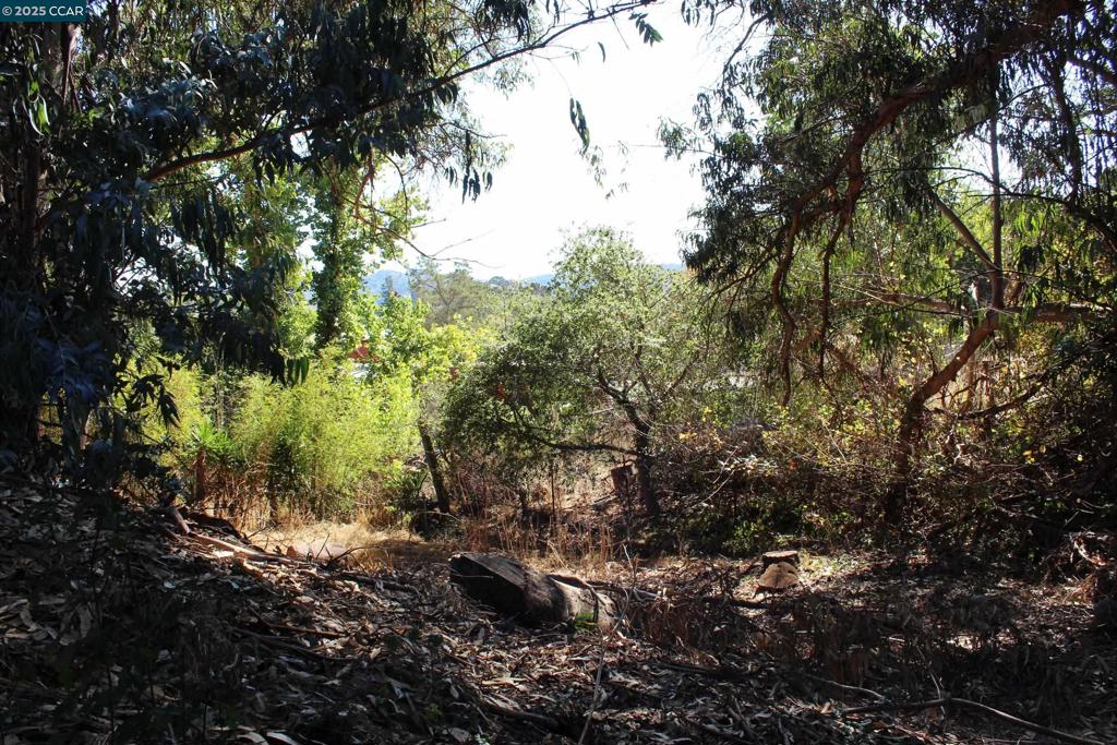 EL SOBRANTE - Land