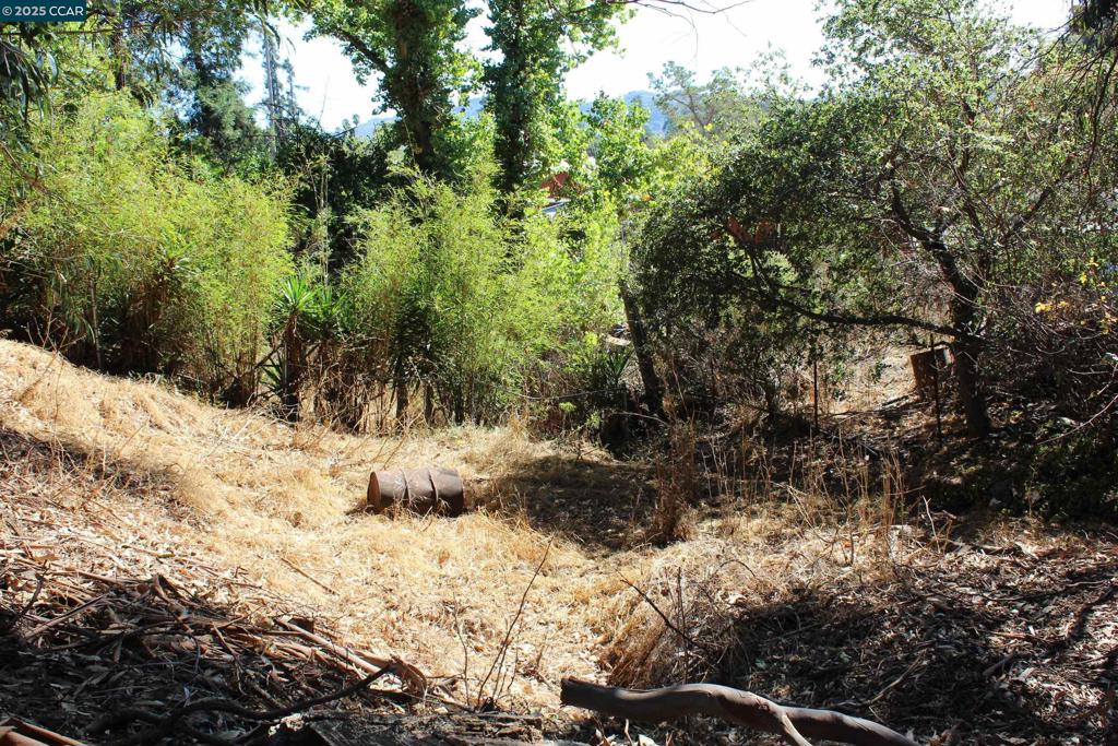 EL SOBRANTE - Land