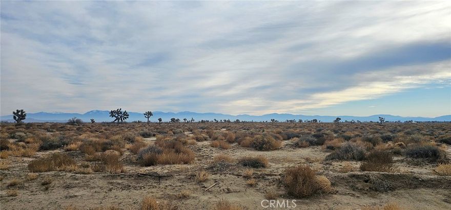 Investor-Grade Vacant Land. Prime 5-acre flat parcel with desirable A2-1 (Heavy Agriculture) zoning in an accessible, non-urban North LA County area. Build a custom ranch estate, develop an equestrian facility, or capitalize on permitted agricultural/animal uses. Expansive lot minimizes building restrictions and maximizes your development return potential. A rare, large-format land banking opportunity. Verify all utility and specific use requirements with County Planning.