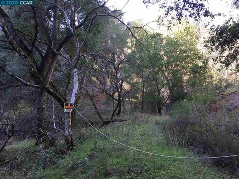 Photo of Lark Ln, Alamo, CA 94507 (MLS # 41120351)