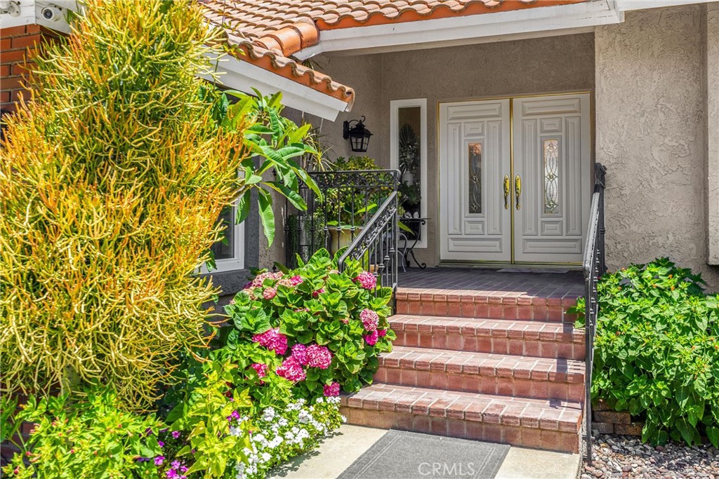 5999 Cedar Mountain Drive