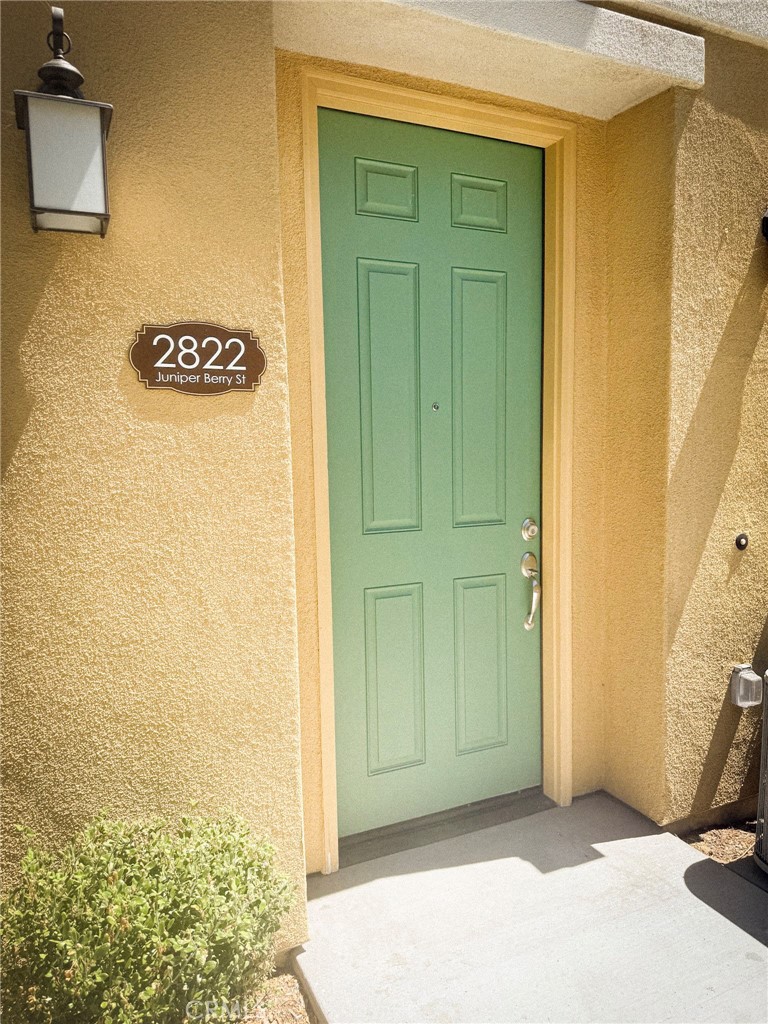 2822 Juniper Berry