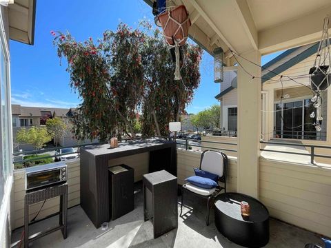 Photo of 2507 Baywood Way Way, Richmond, CA 94804 (MLS # 41131656)