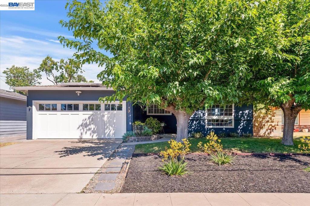 168 Albatross Avenue