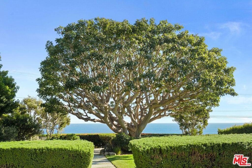 29225 Cliffside Drive