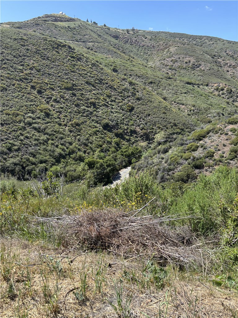 12110 Yellow Hill