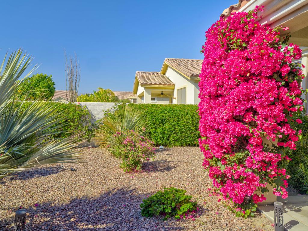 Sun City Shadow Hills - Residential Lease
