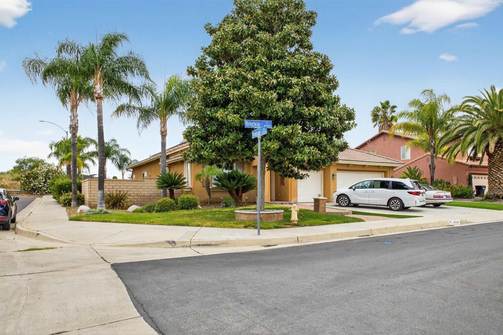 41245 Breckin