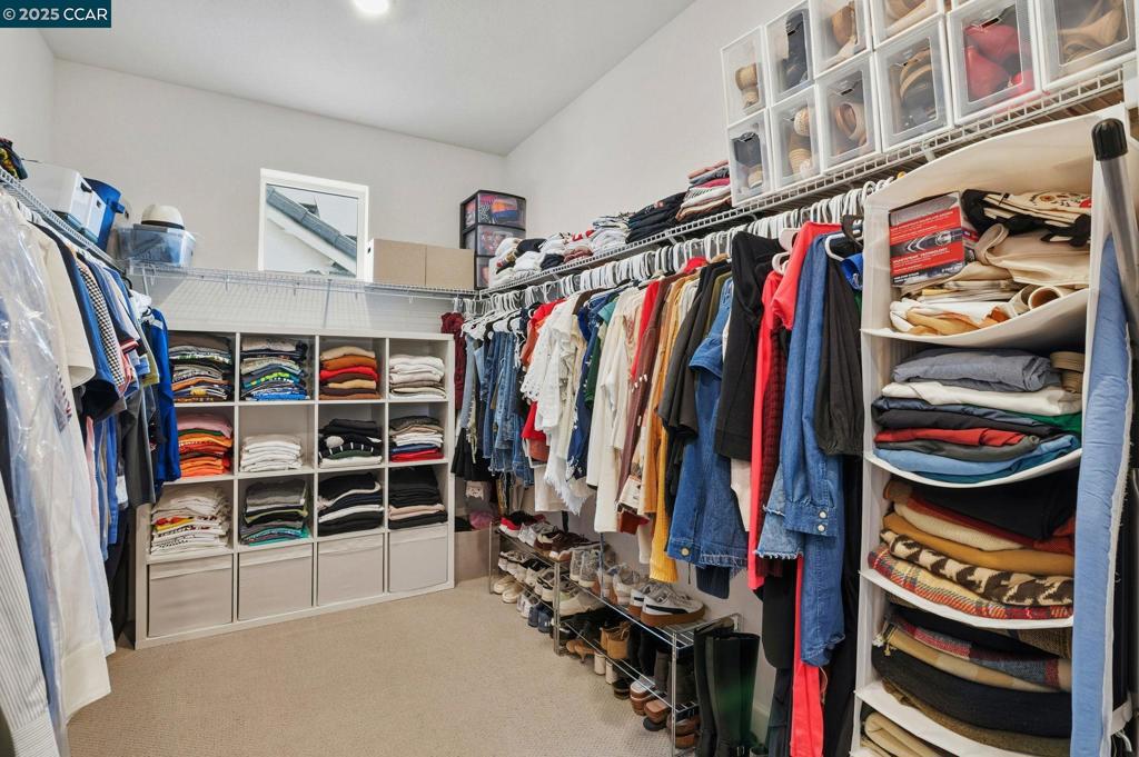 CORDELIA - Residential